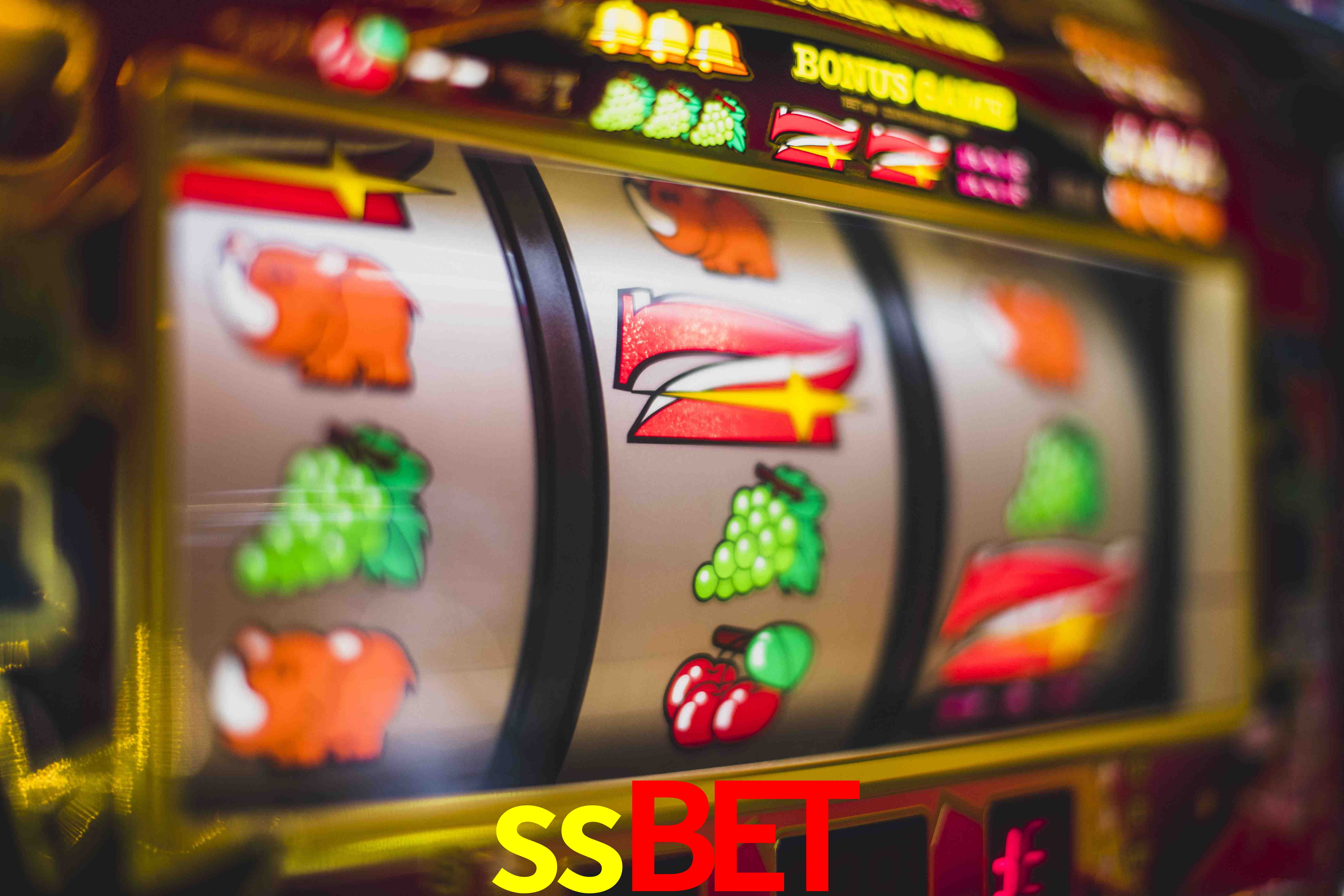 Live Casino ssbet